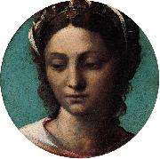 Sebastiano del Piombo Head of a Woman oil painting artist